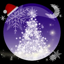 Christmas Camera